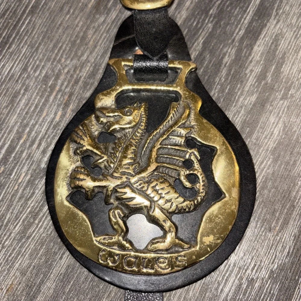 vintage leather Dragon strap brass medallion